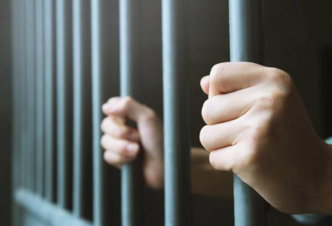 criminal defense attorney